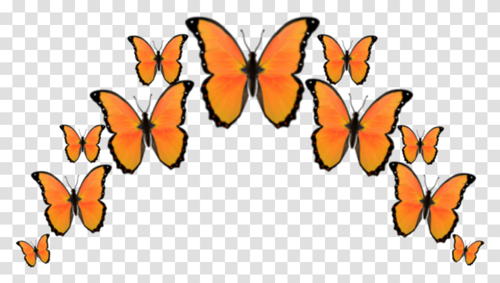Orange Butterfly Butterflys Crown Emoji Emojis Brush Footed Butterfly, Insect, Invertebrate, Animal Transparent Png