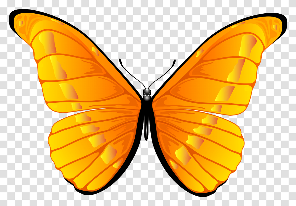 Orange Butterfly Clip Art Clipart 7000 4739 Bbq Butterfly Clipart, Insect, Invertebrate, Animal, Pattern Transparent Png