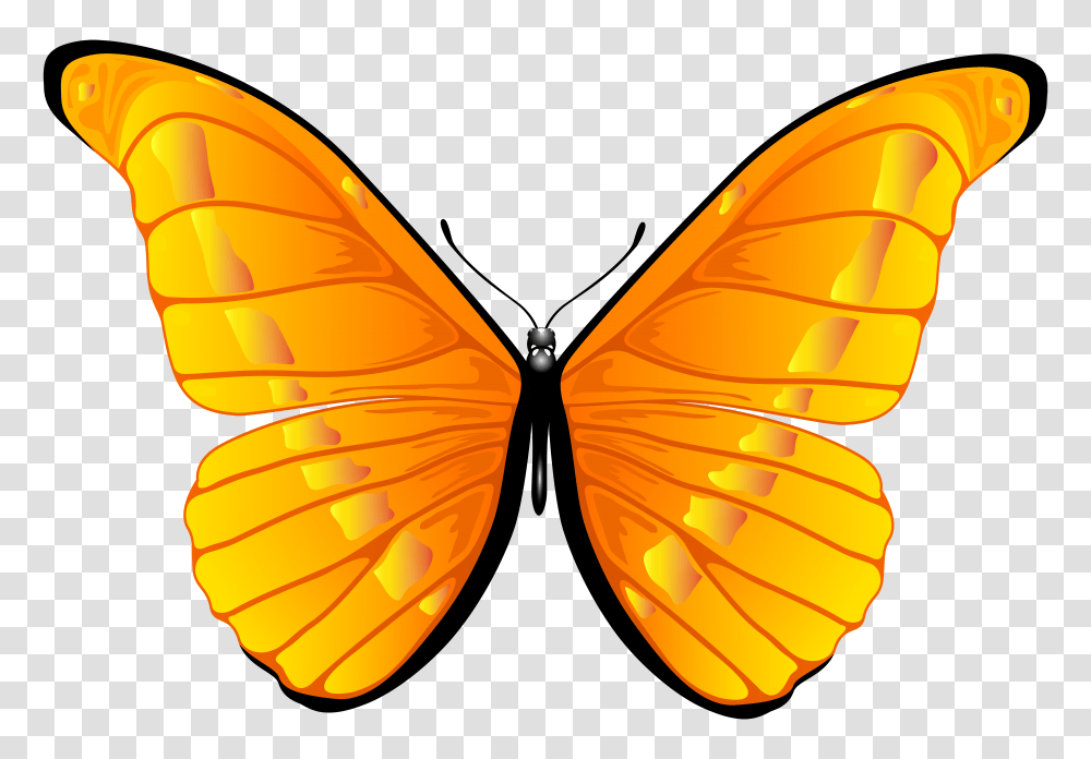 Orange Butterfly Clip Art, Insect, Invertebrate, Animal, Pattern Transparent Png