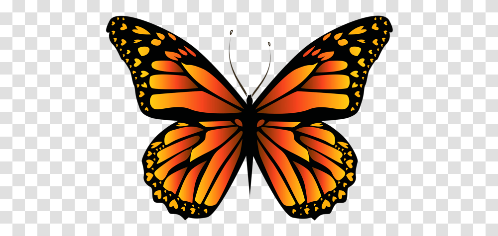 Orange Butterfly Clipar Image Clip Art Orange Butterfly Clipart, Monarch, Insect, Invertebrate, Animal Transparent Png