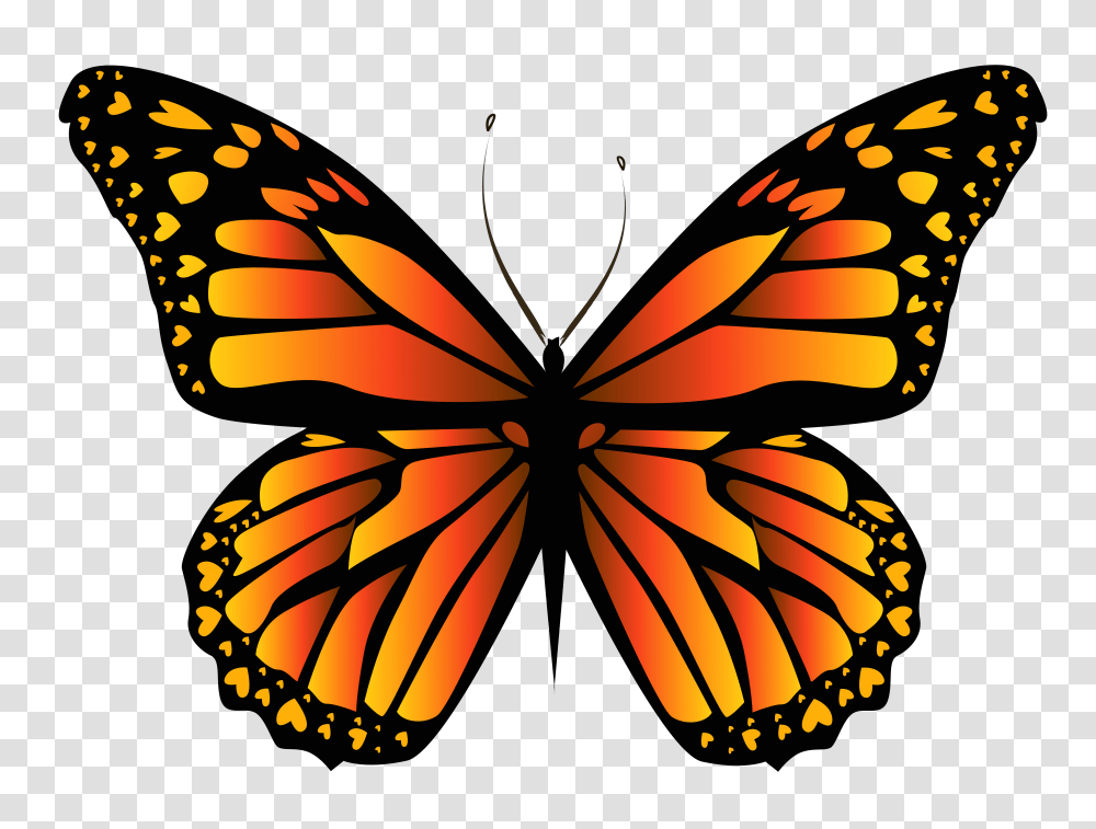 Orange Butterfly Clipar Image Orange Butterfly, Insect, Invertebrate, Animal, Monarch Transparent Png