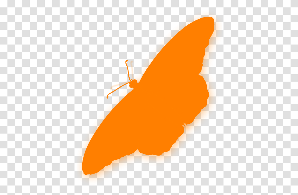 Orange Butterfly Silhouette Clip Art Vector Orange Butterfly Silhouette, Plant, Animal, Food, Invertebrate Transparent Png