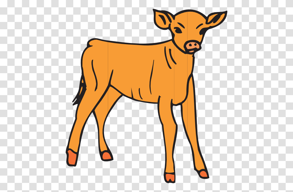 Orange Calf Clip Art, Cow, Cattle, Mammal, Animal Transparent Png