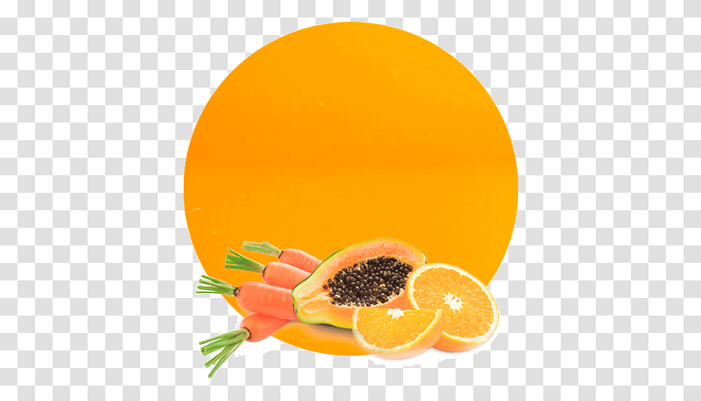 Orange Carrot & Papaya Concentrate Manufacturer & Supplier Carrot Papaya Orange, Plant, Fruit, Food, Balloon Transparent Png
