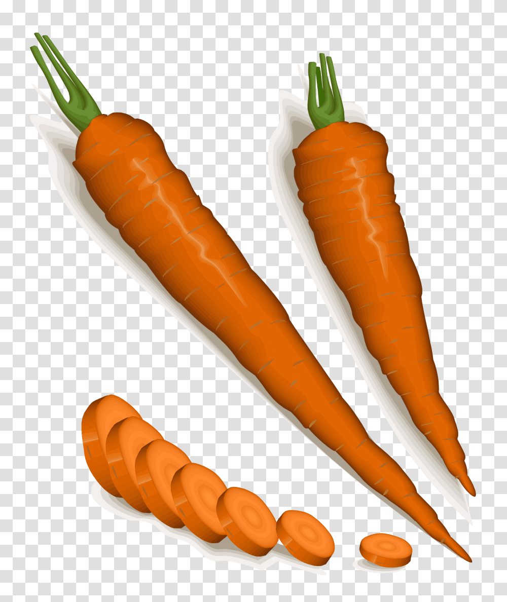 Orange Carrots Vector Clipart Image, Plant, Vegetable, Food, Hot Dog Transparent Png