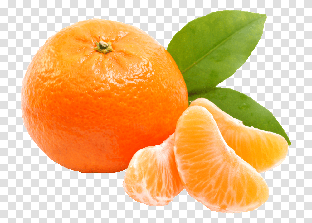 Orange Cartoon Orange Fruit, Citrus Fruit, Plant, Food, Grapefruit Transparent Png