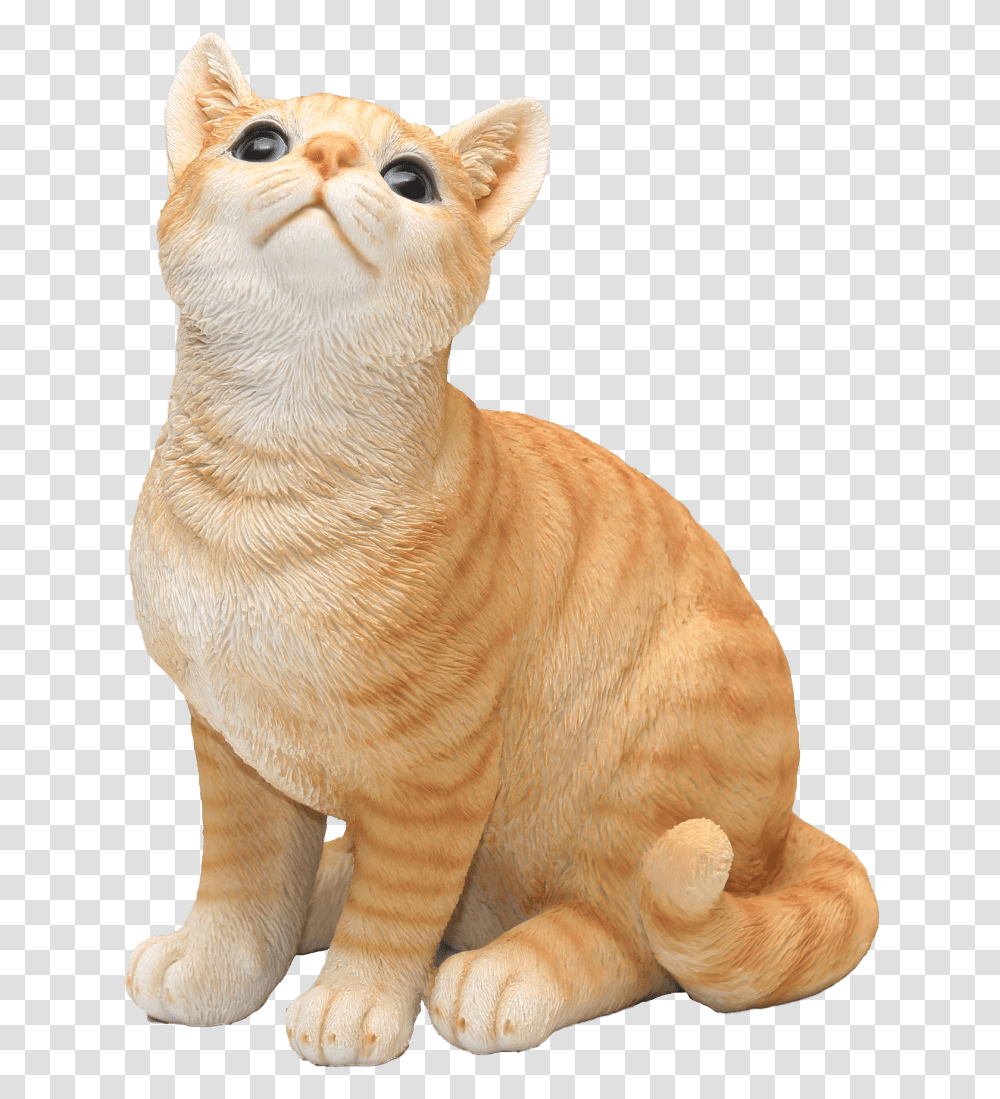 Orange Cat Cat Sit, Pet, Mammal, Animal, Lion Transparent Png