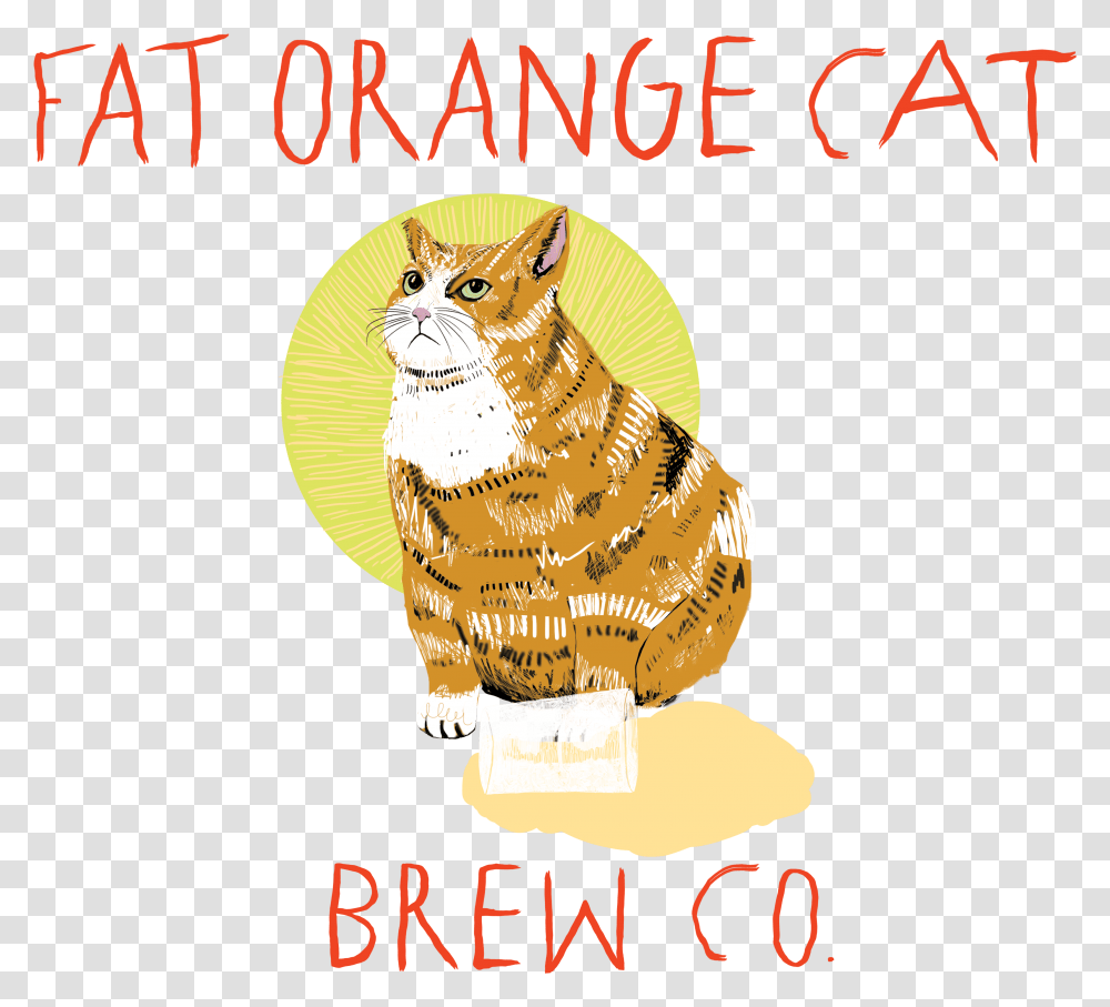 Orange Cat Fat Orange Cat Brewery East Hampton Connecticut, Animal, Pet, Mammal Transparent Png