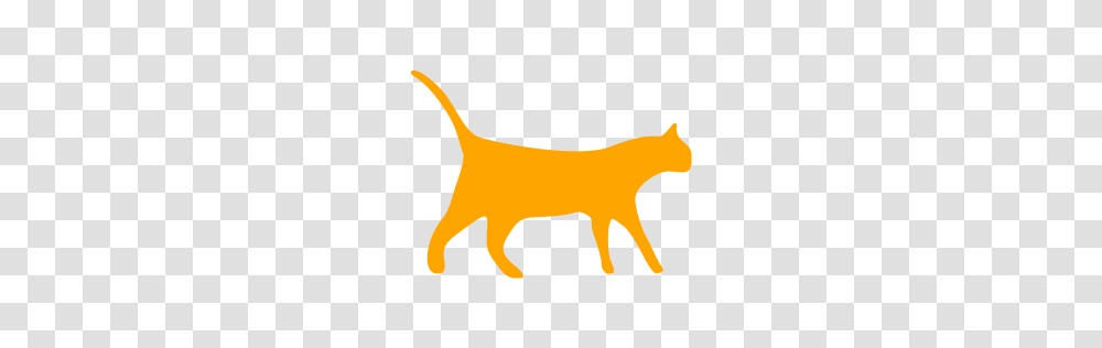 Orange Cat Icon, Plant, Fruit, Food, Logo Transparent Png