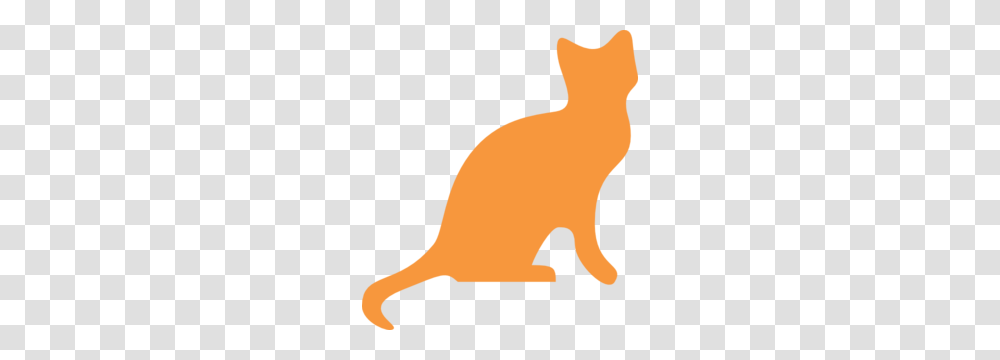 Orange Cat Outline Clipart, Animal, Mammal, Pet, Person Transparent Png
