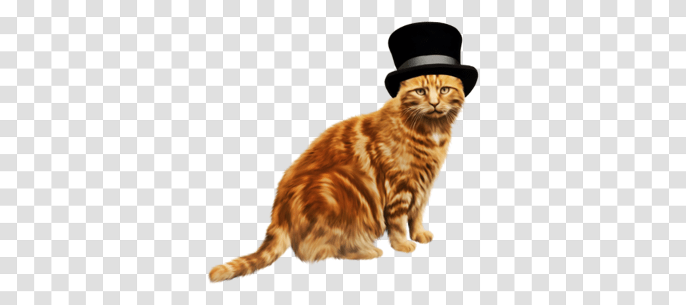 Orange Cat With A Hat, Manx, Pet, Mammal, Animal Transparent Png