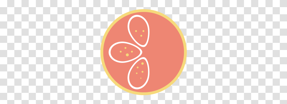 Orange Circle Logo Graphics Grapefruit Soda, Plant, Food, Text, Produce Transparent Png