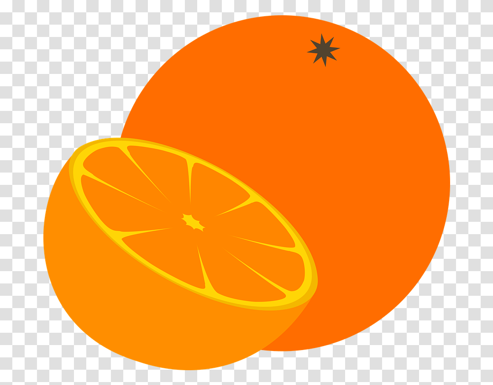 Orange Citric Fruit Free Vector Graphic On Pixabay Vector Orange Fruit, Citrus Fruit, Plant, Food, Sliced Transparent Png