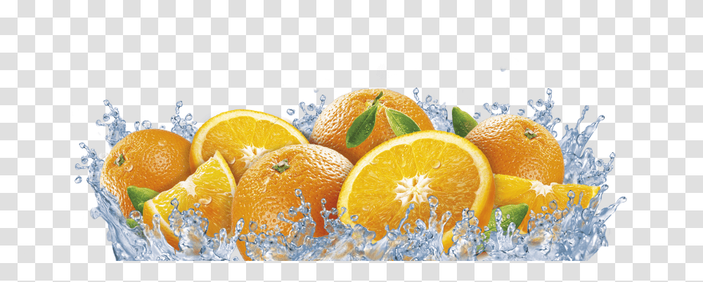 Orange, Citrus Fruit, Plant, Food, Grapefruit Transparent Png