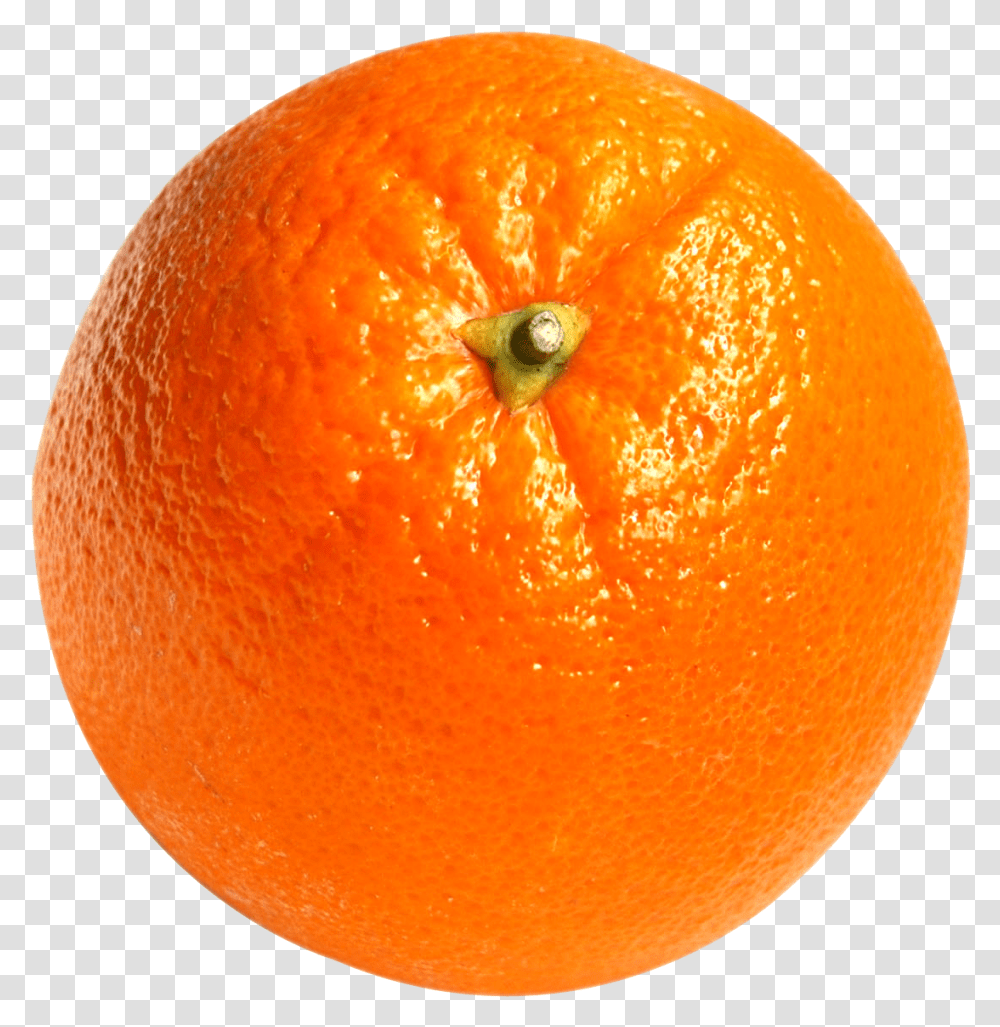Orange, Citrus Fruit, Plant, Food, Grapefruit Transparent Png