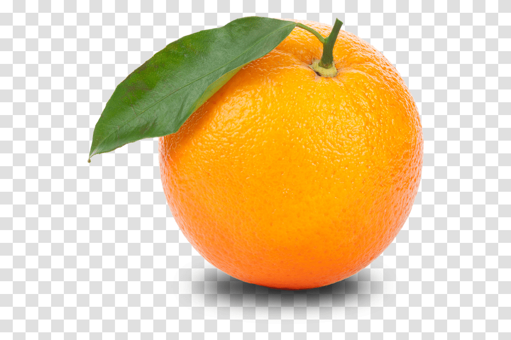 Orange, Citrus Fruit, Plant, Food, Grapefruit Transparent Png