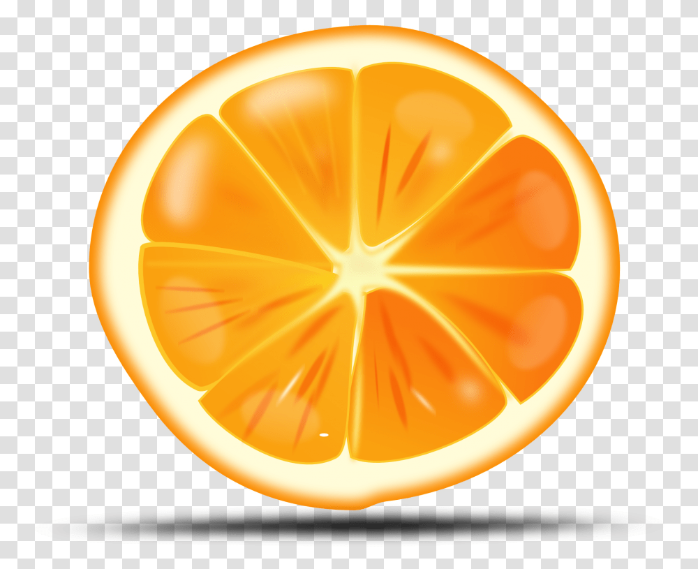 Orange Citrus Sliced Fruit Drawing Free Slice Orange Clipart, Plant, Citrus Fruit, Food, Produce Transparent Png