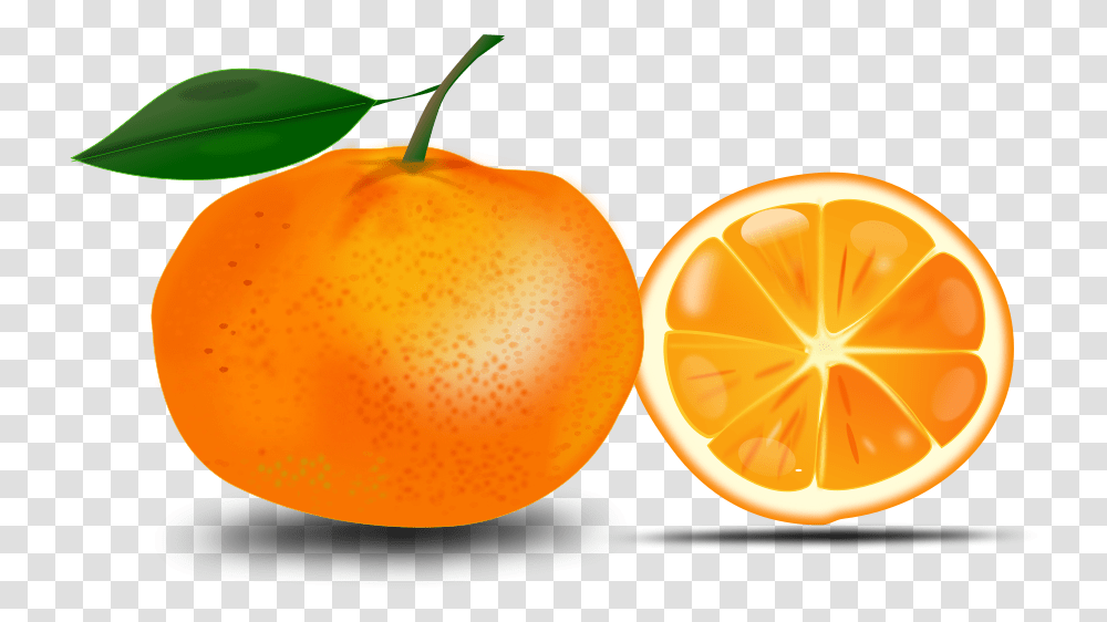 Orange Clip Art Free Clipart Clipartix Free Clip Art Orange, Plant, Fruit, Food, Citrus Fruit Transparent Png