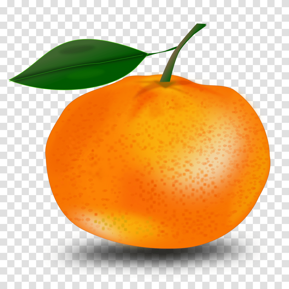 Orange Clip Art Images Free, Plant, Citrus Fruit, Food, Produce Transparent Png