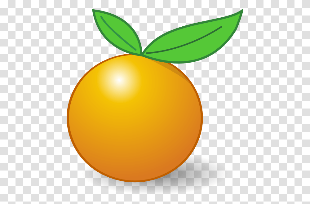 Orange Clip Art, Plant, Apricot, Fruit, Produce Transparent Png