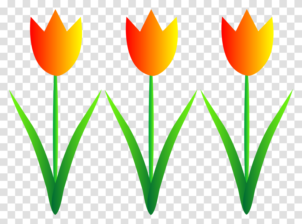 Orange Clip Art Tulips, Ornament, Pattern, Fractal, Plant Transparent Png