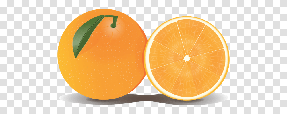 Orange Clipart Nice Clip Art, Citrus Fruit, Plant, Food, Grapefruit Transparent Png