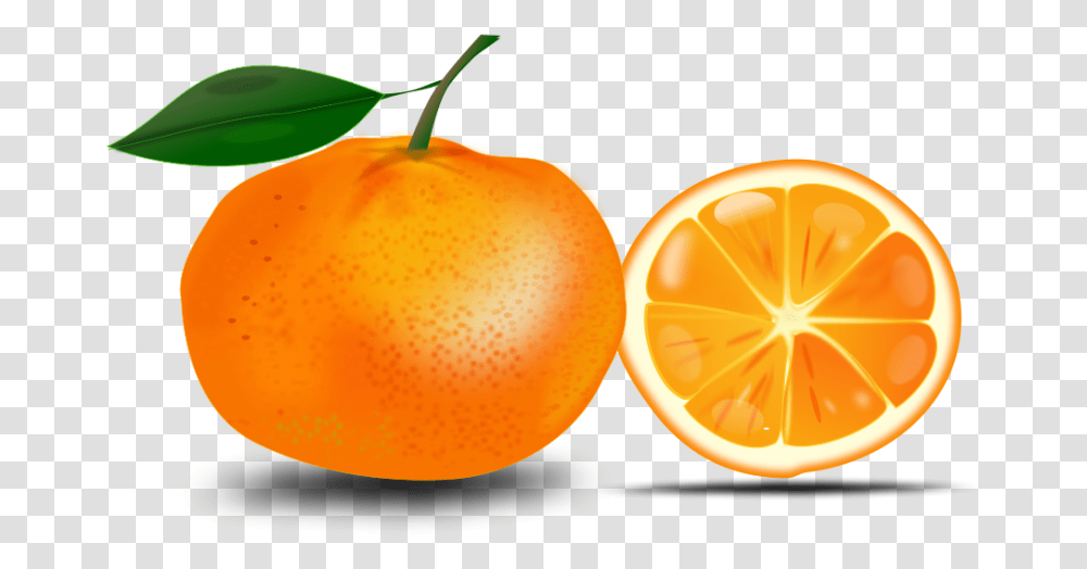 Orange Clipart Orange Clipart Free, Plant, Fruit, Food, Produce Transparent Png