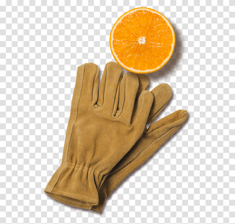 Orange, Apparel, Plant, Citrus Fruit Transparent Png