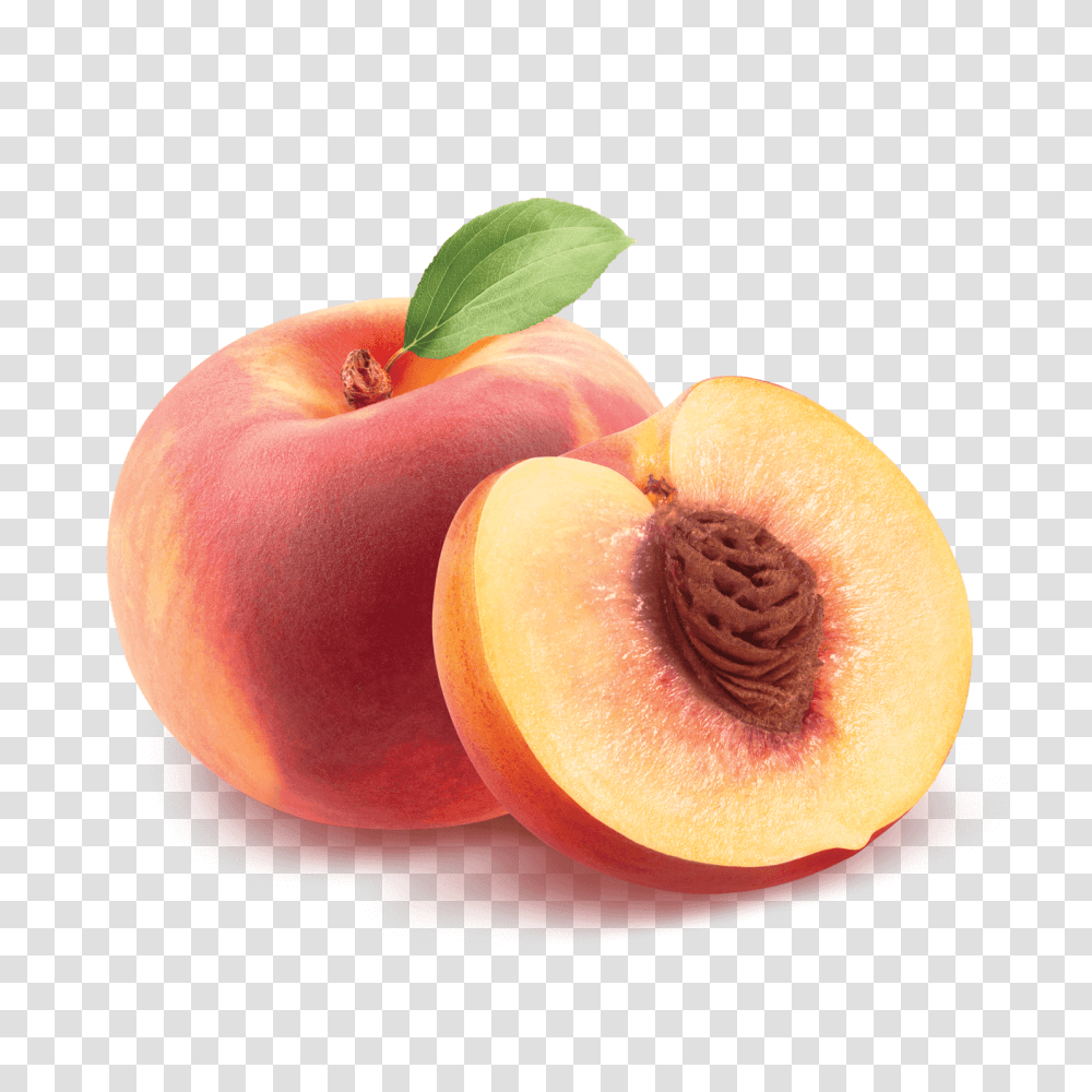 Orange Colored Peaches, Plant, Fruit, Food Transparent Png