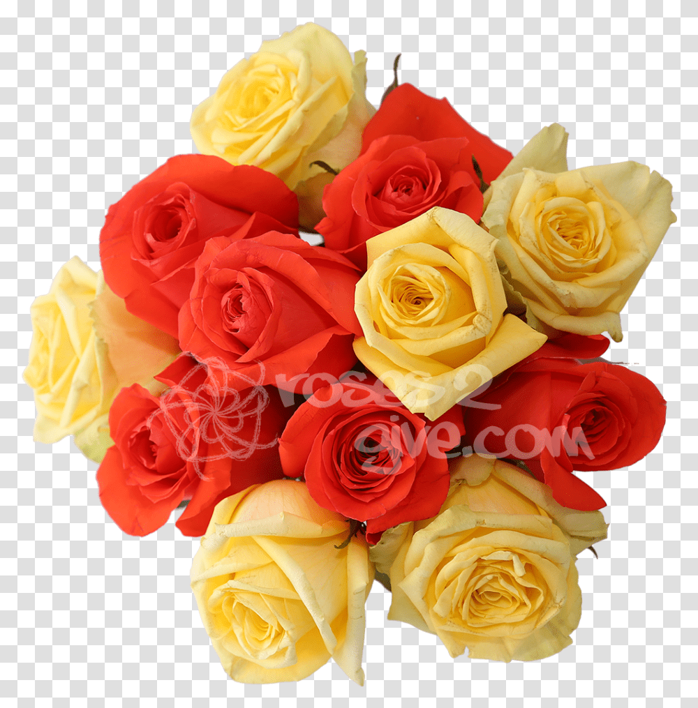 Orange CombinationTitle Yellow Floribunda, Plant, Flower, Blossom, Rose Transparent Png