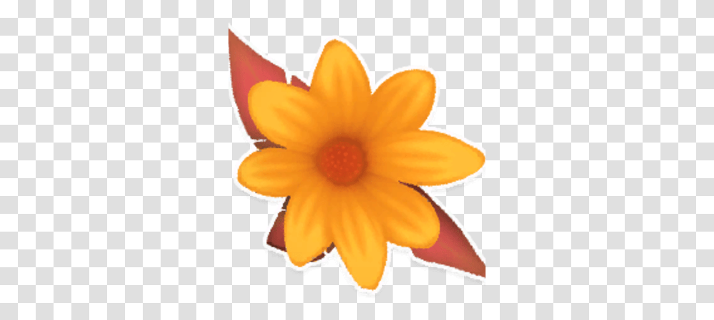 Orange Daisy Garden Paws Wiki Fandom Susan, Plant, Flower, Dahlia, Anther Transparent Png