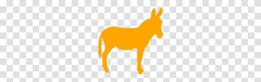 Orange Donkey Icon, Plant, Fruit, Food, Logo Transparent Png