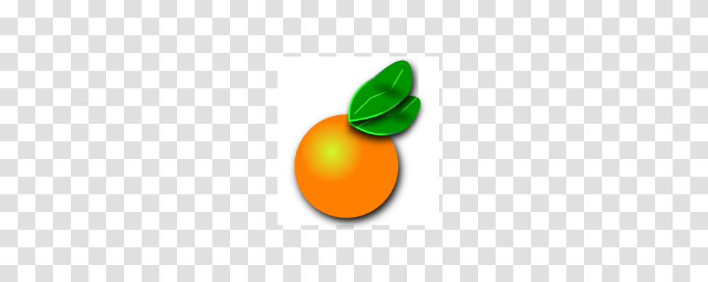 Orange Download Fruit Citrus, Plant, Produce, Food, Apricot Transparent Png