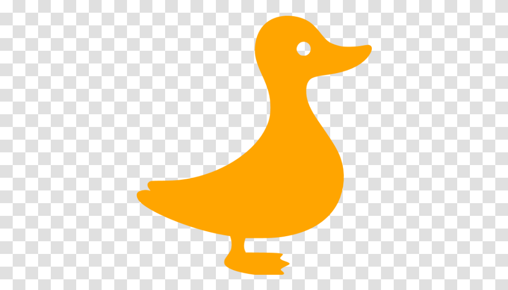 Orange Duck Icon Goose Ico, Bird, Animal, Beak, Waterfowl Transparent Png