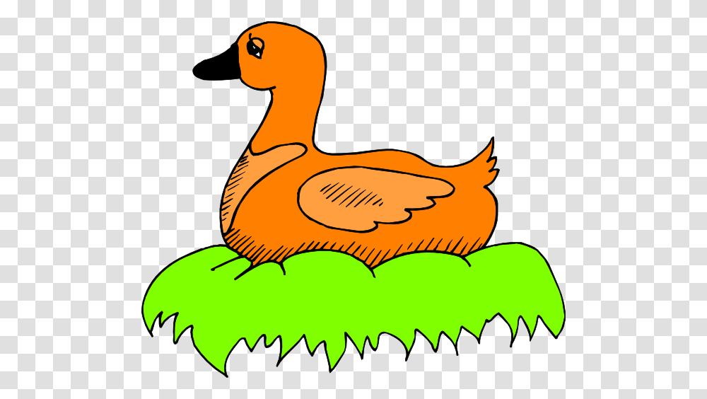 Orange Duck In Nest Clip Art, Bird, Animal Transparent Png
