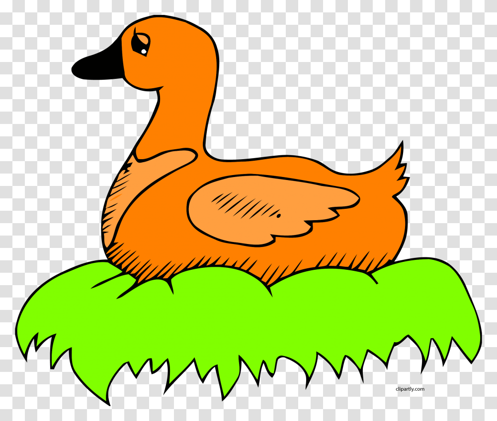 Orange Duck In Nest Clip Art Clipart Duck On The Nest Clipart, Bird, Animal Transparent Png