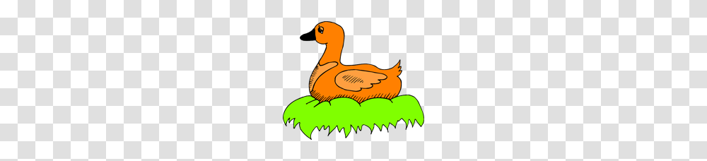 Orange Duck In Nest Clip Arts For Web, Bird, Animal Transparent Png