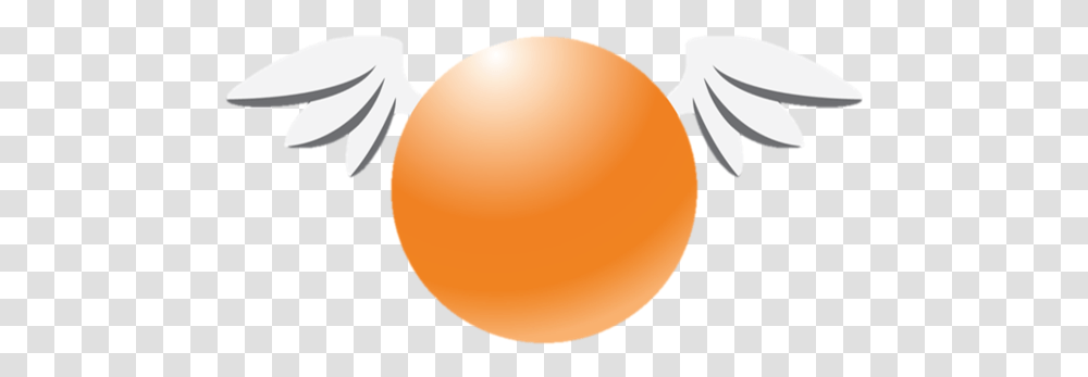 Orange Esports Orange Esport Cg Logo, Plant, Food, Balloon, Fruit Transparent Png