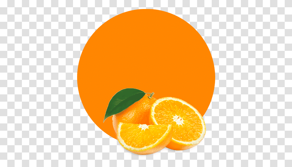 Orange Essential Oil Orange, Plant, Citrus Fruit, Food, Juice Transparent Png