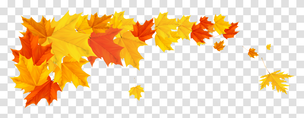 Orange Fall Leafs Clipart Picture Fall Leaves Border, Plant, Tree, Maple, Maple Leaf Transparent Png