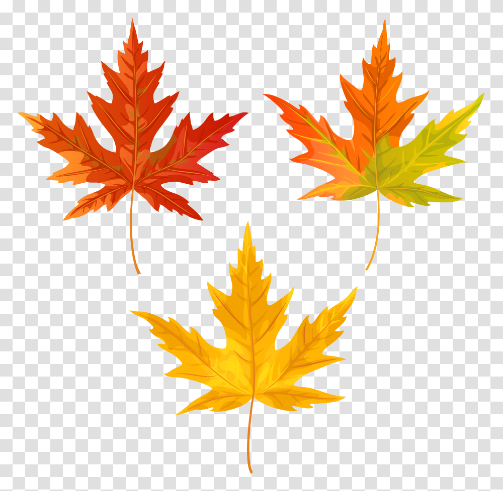 Orange Fall Leaves Clip Art, Leaf, Plant, Maple Leaf, Tree Transparent Png
