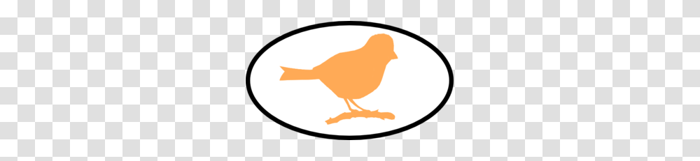 Orange Finch Clip Art, Animal, Bird, Fowl, Poultry Transparent Png