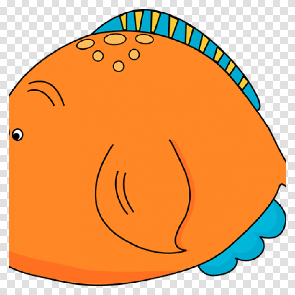 Orange Fish Clipart Free Clipart Download, Animal, Baseball Cap, Soccer Ball Transparent Png