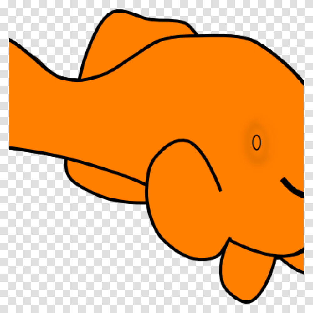 Orange Fish Clipart Free Clipart Download, Animal, Goldfish Transparent Png