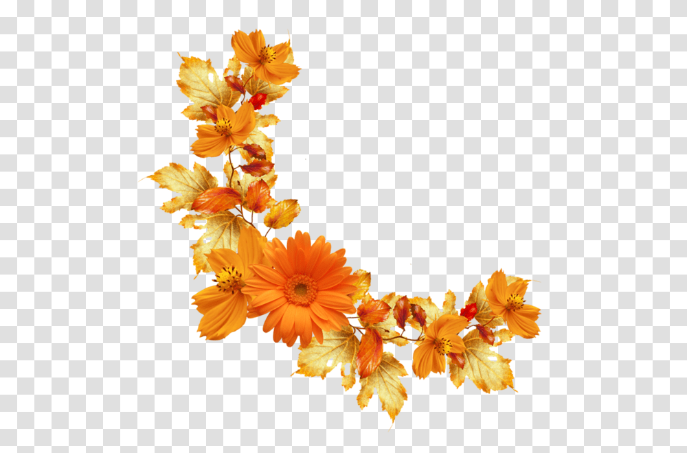 Orange Floral Border Image Background Orange Flower, Plant, Blossom, Flower Arrangement, Flower Bouquet Transparent Png