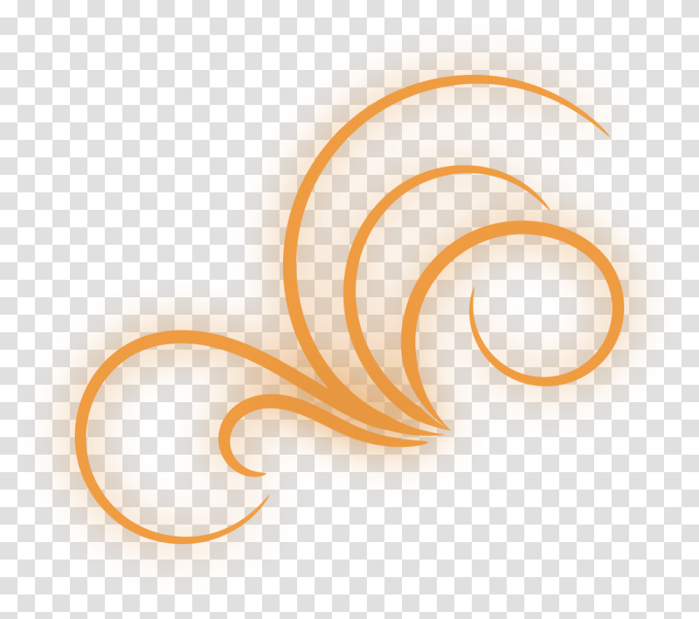 Orange Flourish, Animal, Sea Life, Tadpole, Amphibian Transparent Png