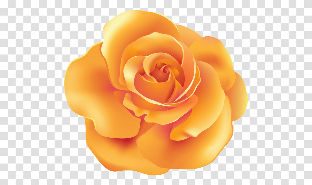 Orange Flower Art Clip, Rose, Plant, Blossom, Petal Transparent Png