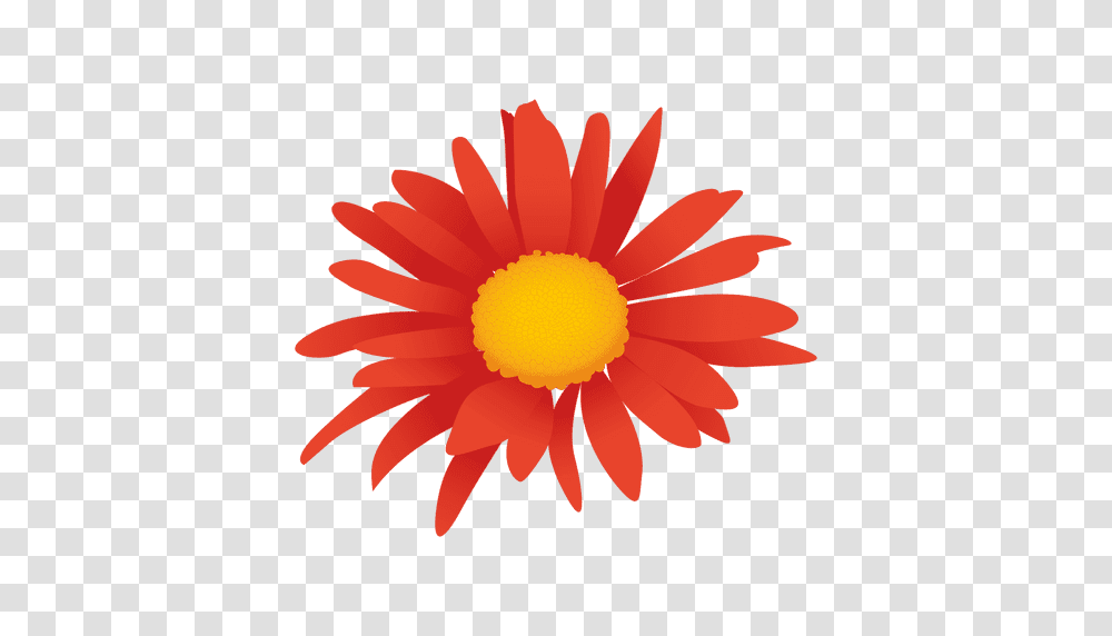 Orange Flower Cartoon, Plant, Blossom, Petal, Daisy Transparent Png