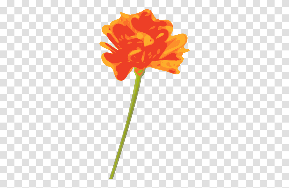 Orange Flower Clip Art Free Vector, Plant, Blossom, Petal, Carnation Transparent Png