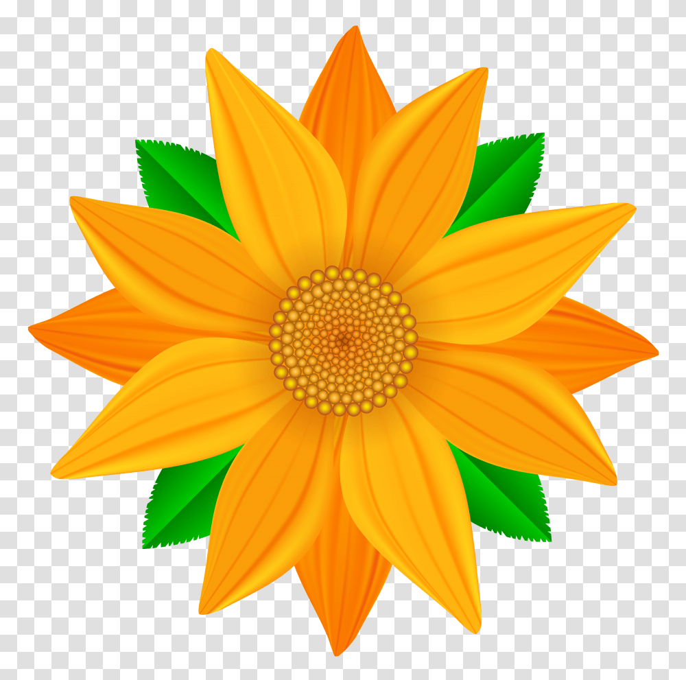 Orange Flower Clip Art Gallery Transparent Png